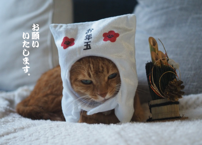 1日朝ブログ３