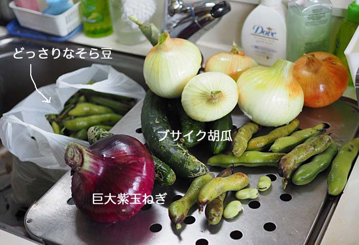 29日ブログ１