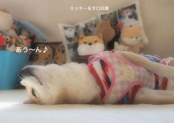 18日夜ブログ3