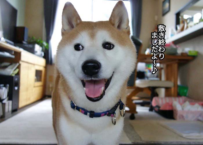 11日ブログ５