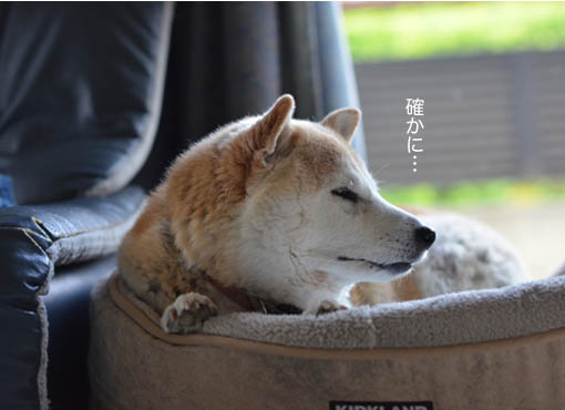 23日ブログ4.jpg