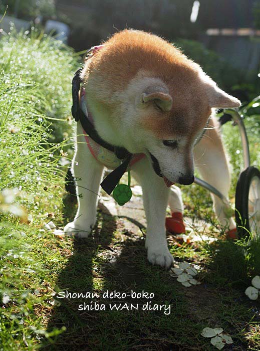 10日ブログ１
