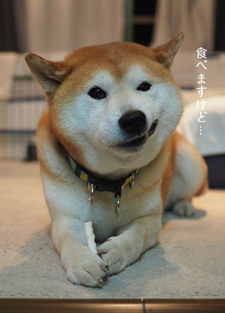 22日ブログ5