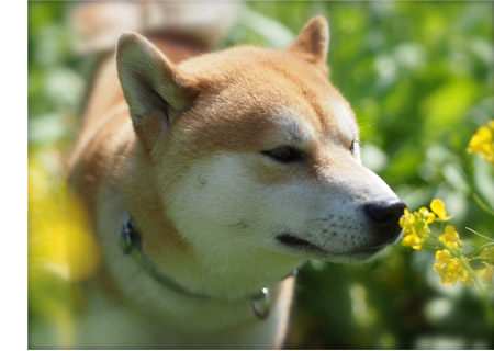 30日ブログ3.jpg