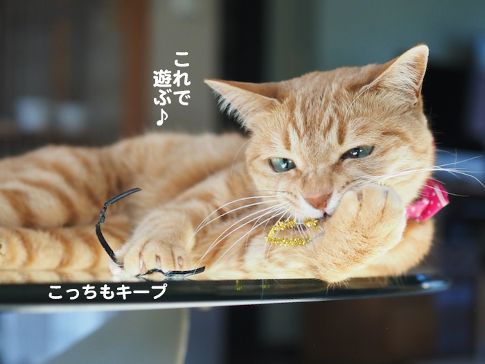 4日夕ブログ１０