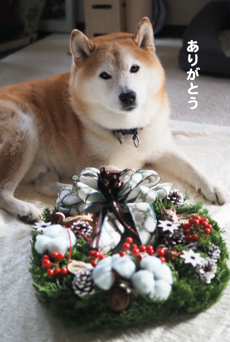 24日夕ブログ６