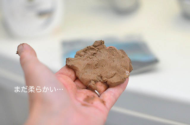 30日ブログ４