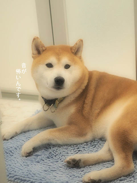 16日ブログ2