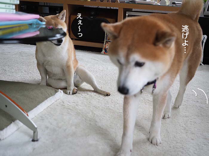 2日ブログ11