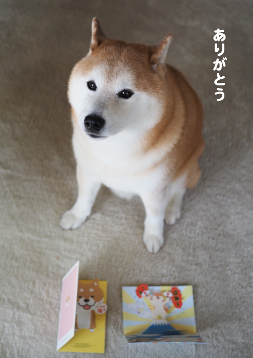 28日ブログ２