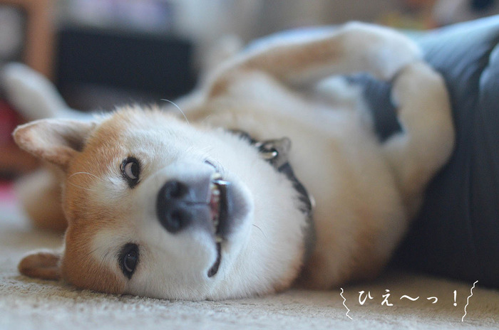 20日ブログ5