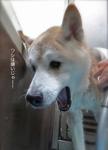 26日ブログ4.jpg