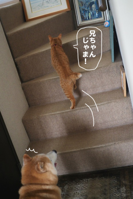 12日ブログ5