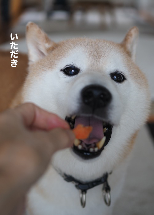 6日夜ブログ４