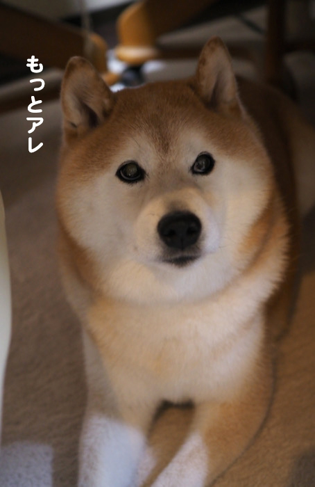 2日ブログ２