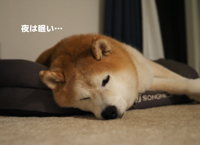 28日ブログ２