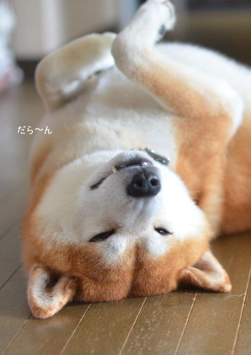 10日ブログ3