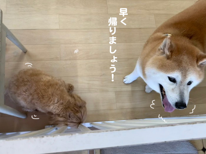 11日ブログ２