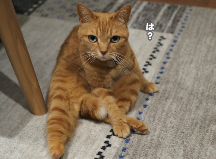 30日ブログ４