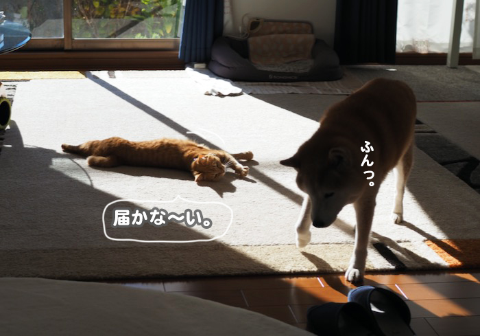 23日ブログ４