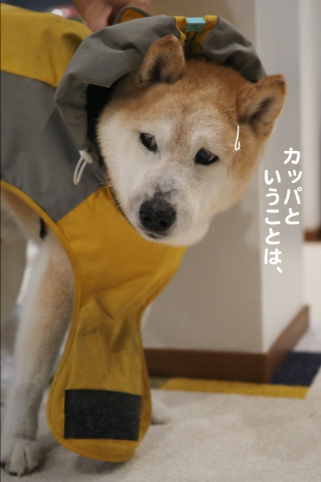 6日夕ブログ３