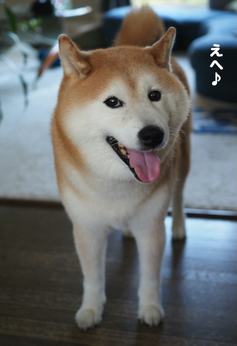 24日ブログ１