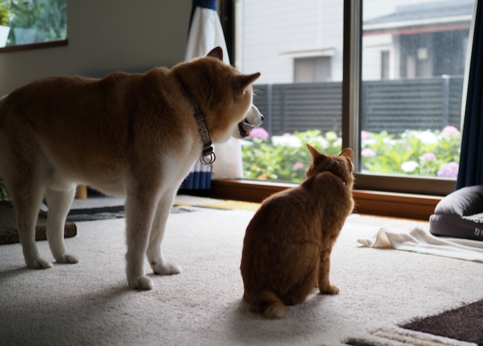13日ブログ２