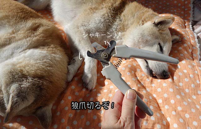 25日ブログ7
