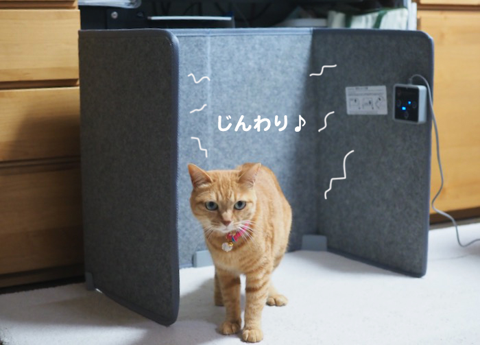 4日夕ブログ４