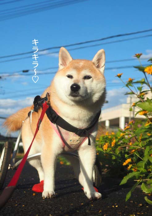 2日ブログ５