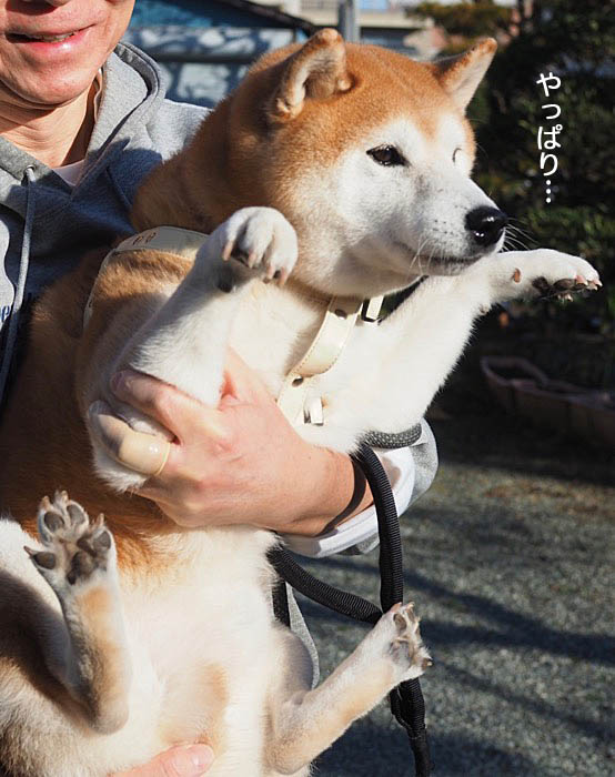 10日ブログ４