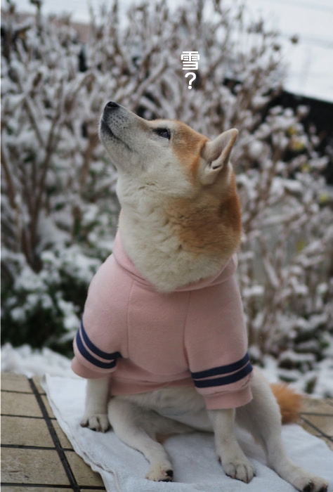 6日夜ブログ９