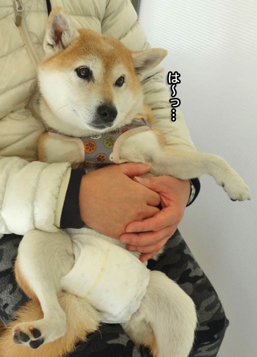 7日ブログ３