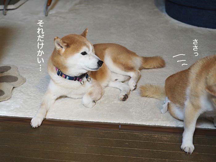 23日ブログ１０
