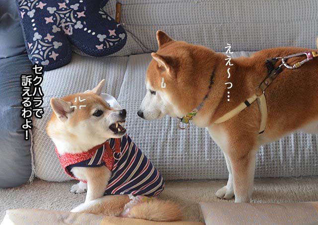 29日ブログ7