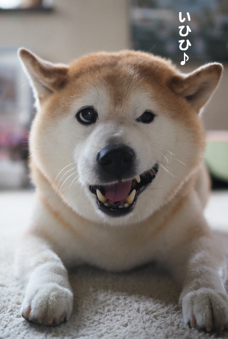 19日夕ブログ６