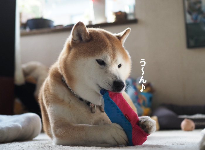 25日夜ブログ８