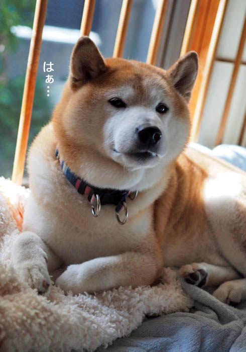 21日ブログ２