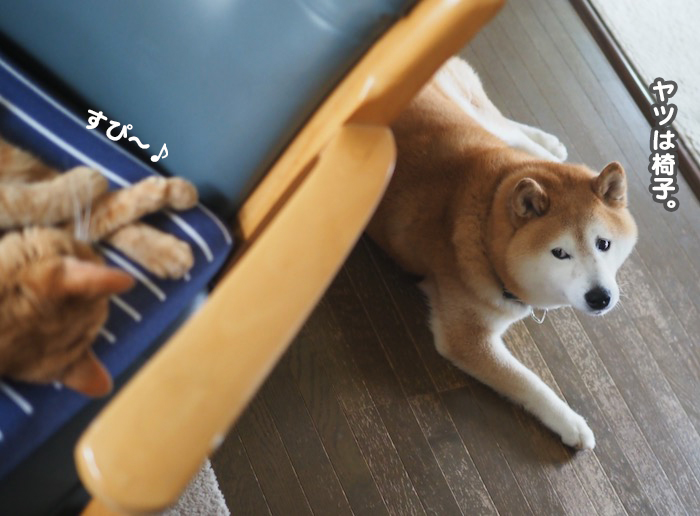 14日夕ブログ３