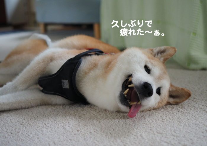 2日夕ブログ６