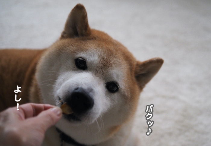 10日夕ブログ４
