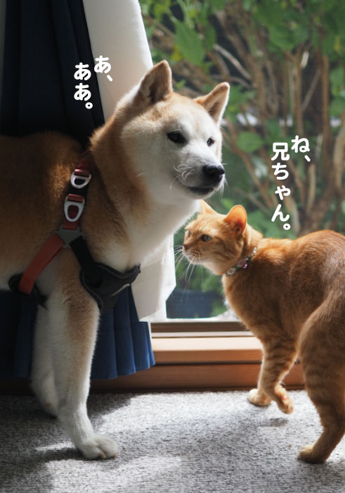8日夕ブログ５