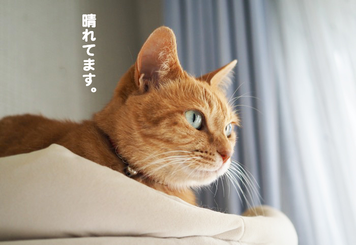 9日ブログ３