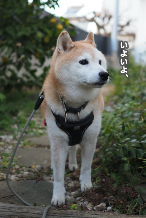 2日夕ブログ４