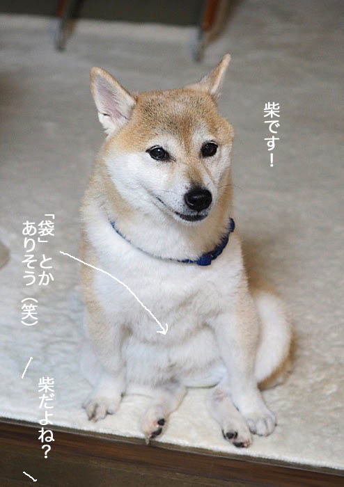 14日ブログ５