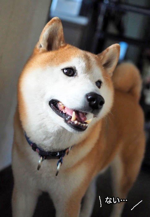 4日ブログ４