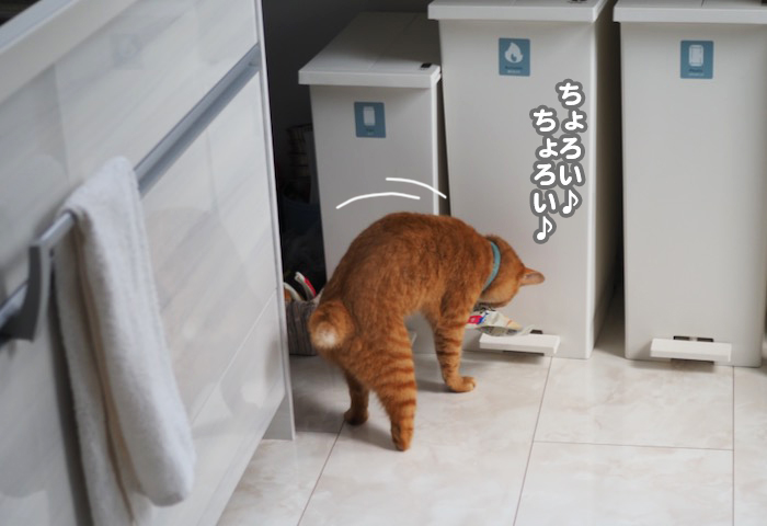 15日夕ブログ５