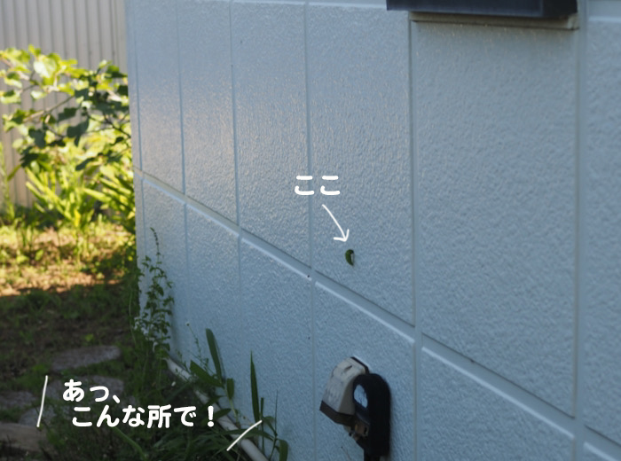 24日夕ブログ4