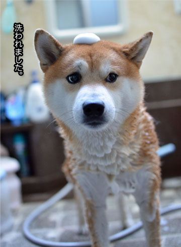 12日ブログ8.jpg