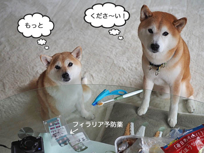 17日ブログ５